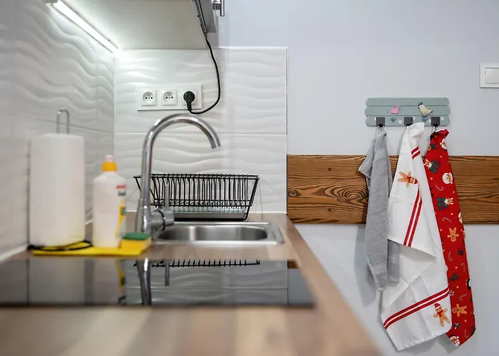 Apartment Charming With Parking And Balcony In By Renters *