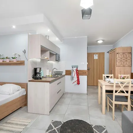 Charming With Parking And Balcony In By Renters 카르파츠